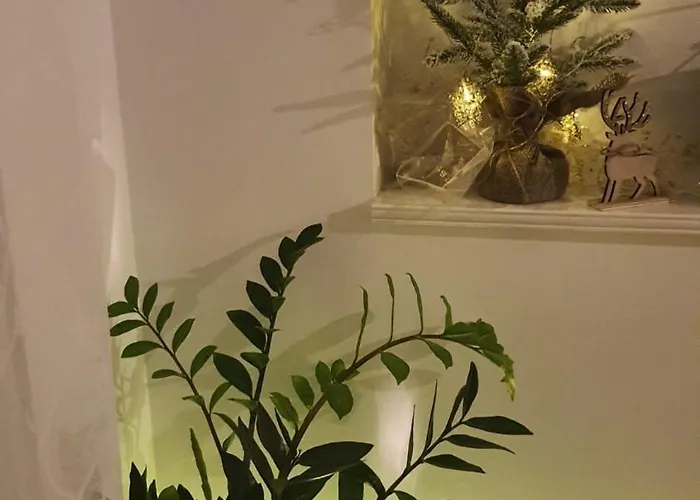 Lili Apartamento